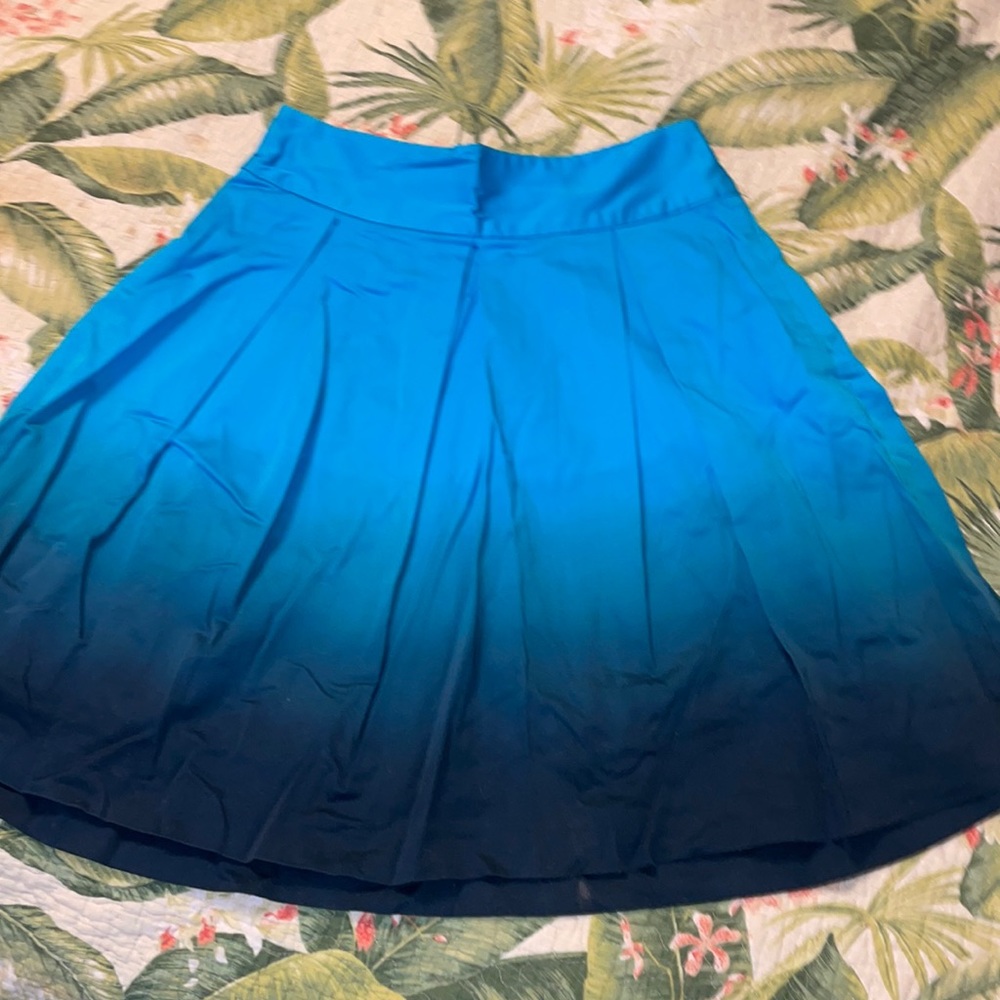 Express skirt